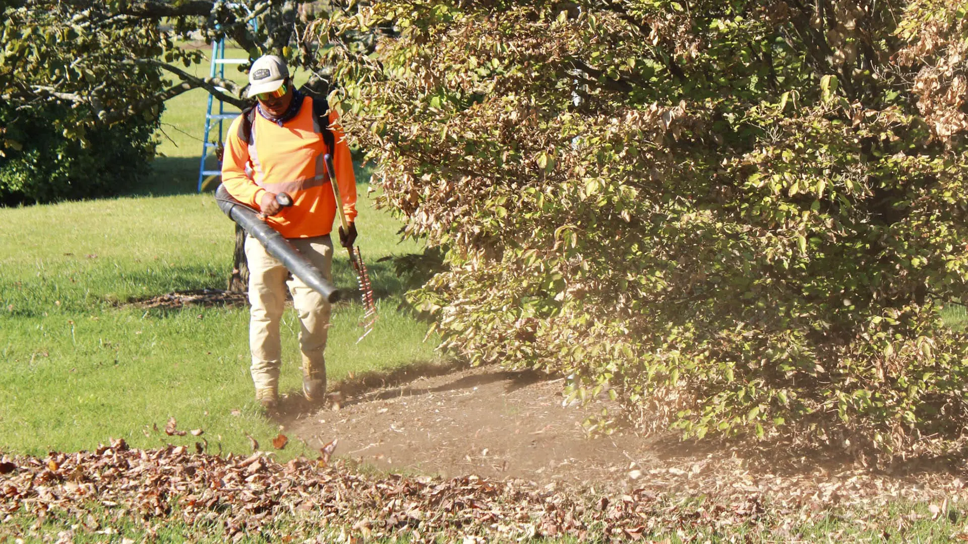 general landscape maintenance